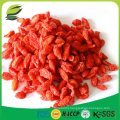 dried goji berry organic for health benefits